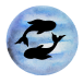 Pisces