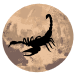 Scorpio